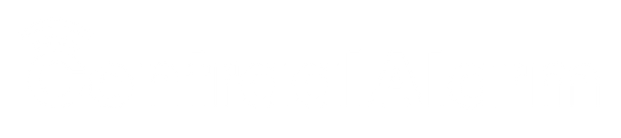 Centraal Alarm